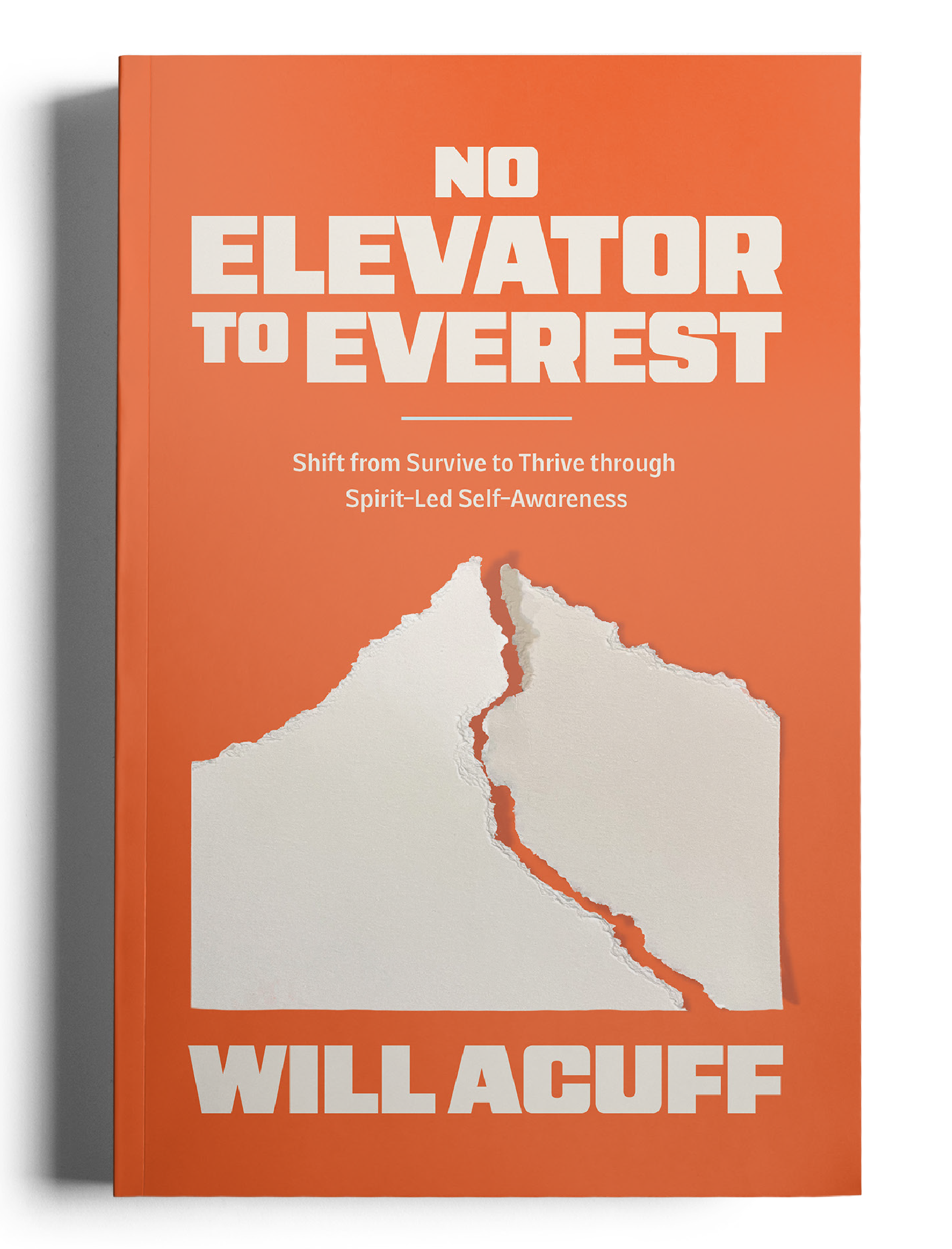 NETE Book Cover